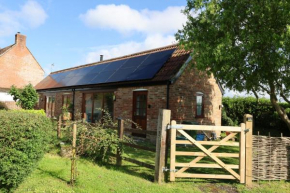 Tranquil and cosy cottage on the Somerset Levels